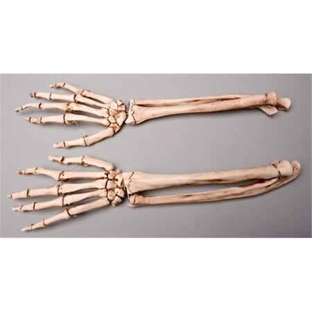 Skeletons And More Skeletons and More SM372DRA Aged Righ Forearm SM372DRA